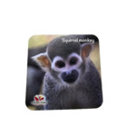 SQUIRREL MONKEY BEER COASTER